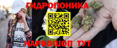 крисы Ливны