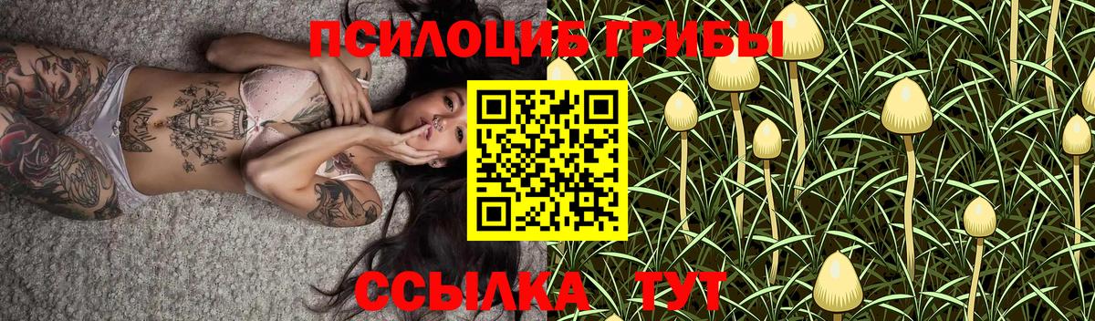 Псилоцибиновые грибы ЛСД  Вход с VPN  Выборг  Галлюциногенные грибы Cubensis 