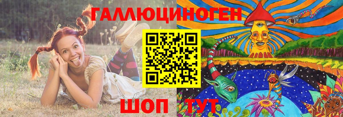 Псилоцибиновые грибы Psilocybe Выборг